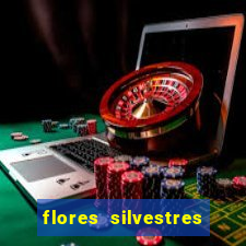 flores silvestres desbravadores desbravadores 25